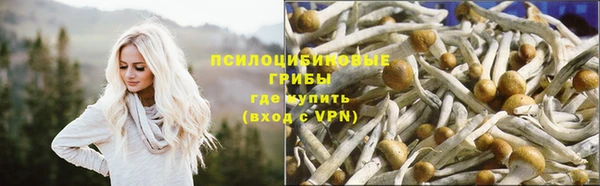 дживик Заводоуковск
