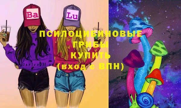 дживик Заводоуковск