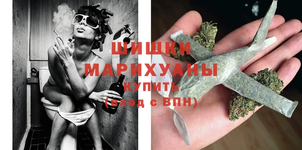 дживик Заводоуковск